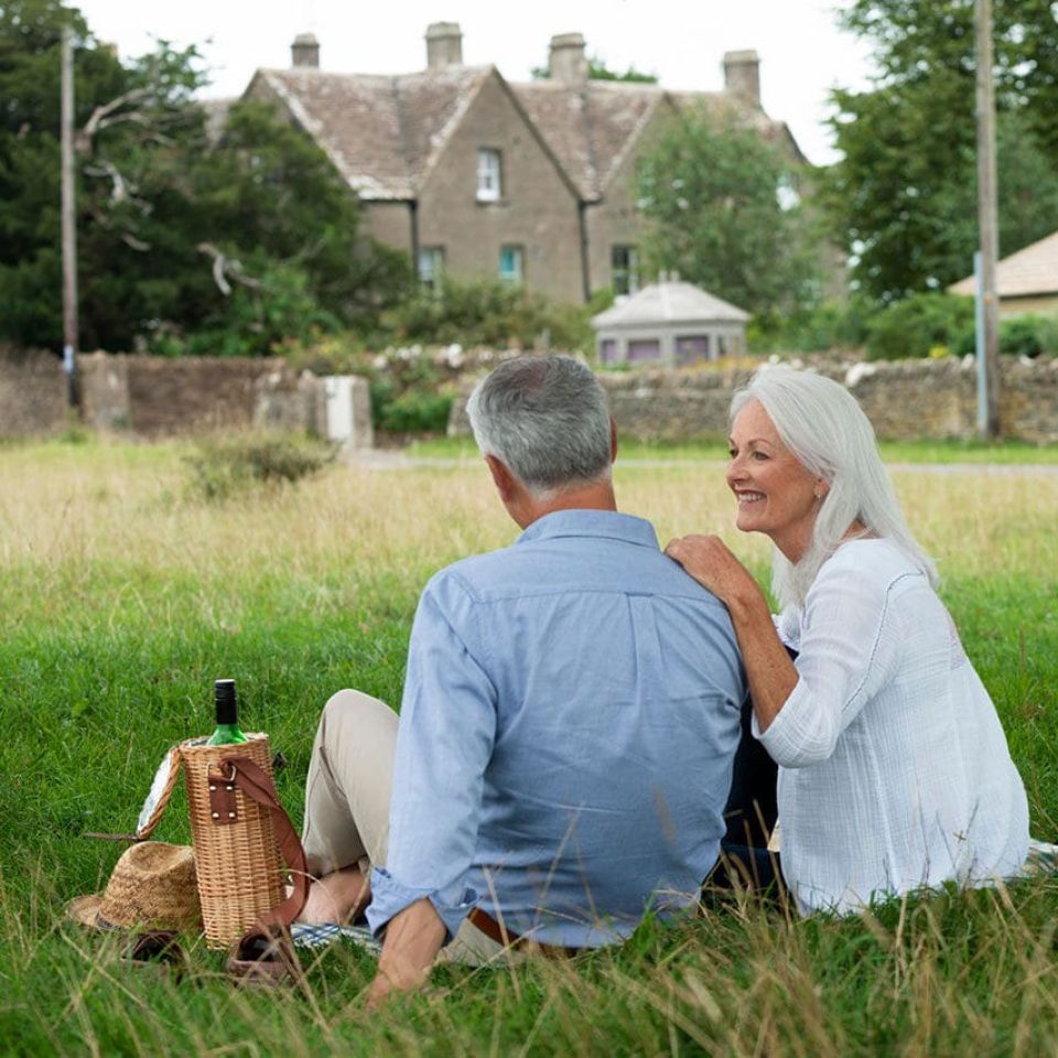 20260227 TCG032 picnic v01 JS e1772230421286 27a31f65